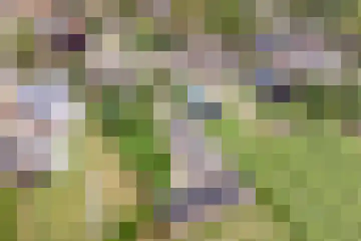 Nieuwstraat 4 Gameren thumbnail 67