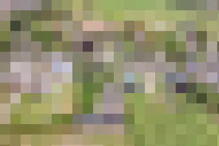 Nieuwstraat 4 Gameren thumbnail 68