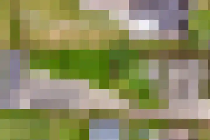 Nieuwstraat 4 Gameren thumbnail 69