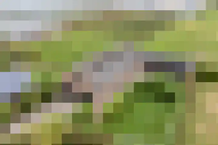 Nieuwstraat 4 Gameren thumbnail 70