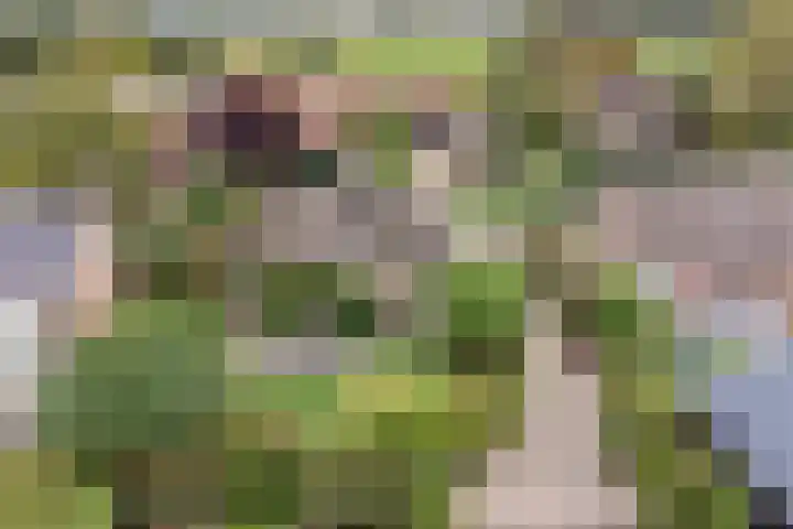 Nieuwstraat 4 Gameren thumbnail 71