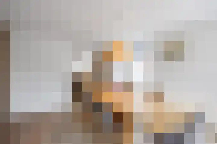 Nieuwstraat 4 Loppersum thumbnail 18