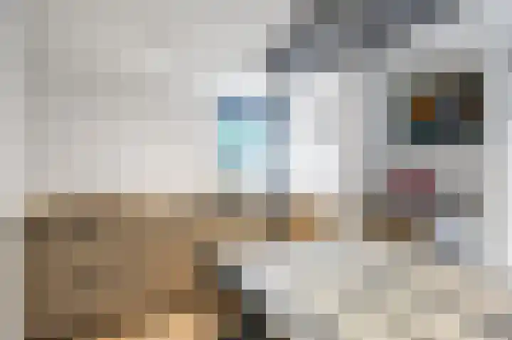 Nieuwstraat 4 Loppersum thumbnail 24