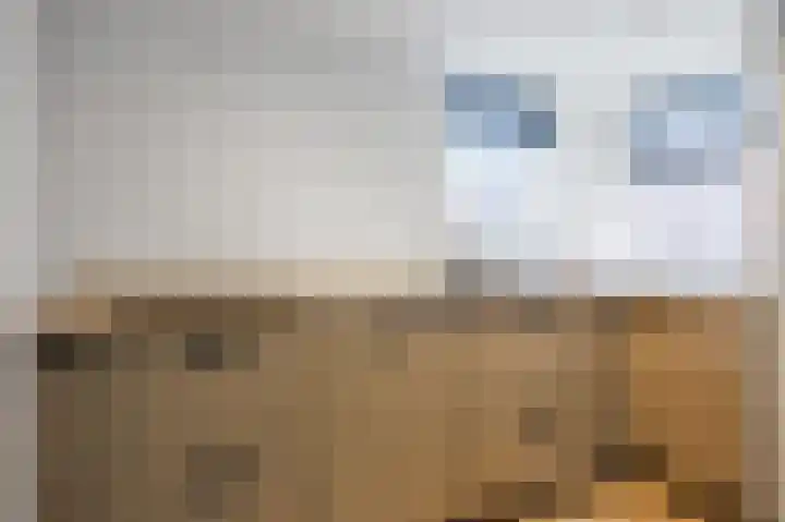 Nieuwstraat 4 Loppersum thumbnail 25