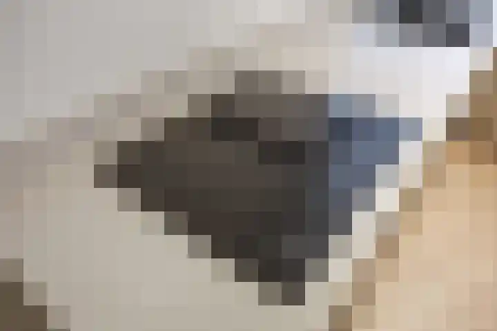 Nieuwstraat 4 Loppersum thumbnail 26