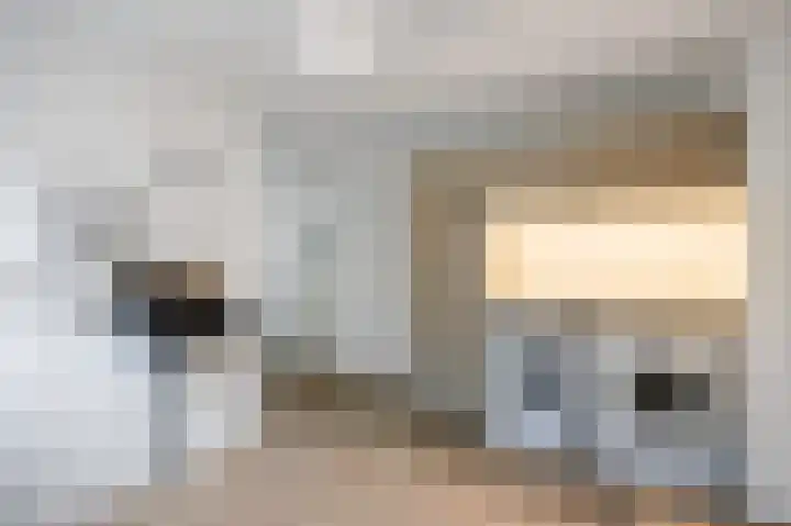 Nieuwstraat 4 Loppersum thumbnail 36