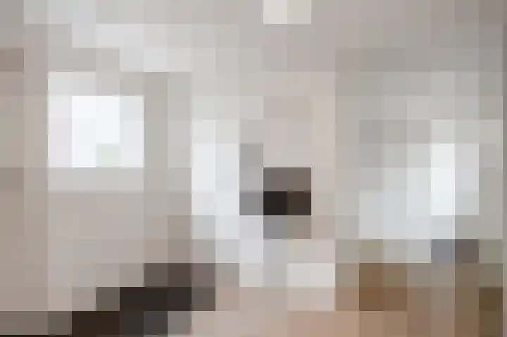 Nieuwstraat 4 Loppersum thumbnail 37