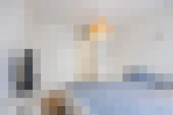 Nieuwstraat 4 Loppersum thumbnail 38