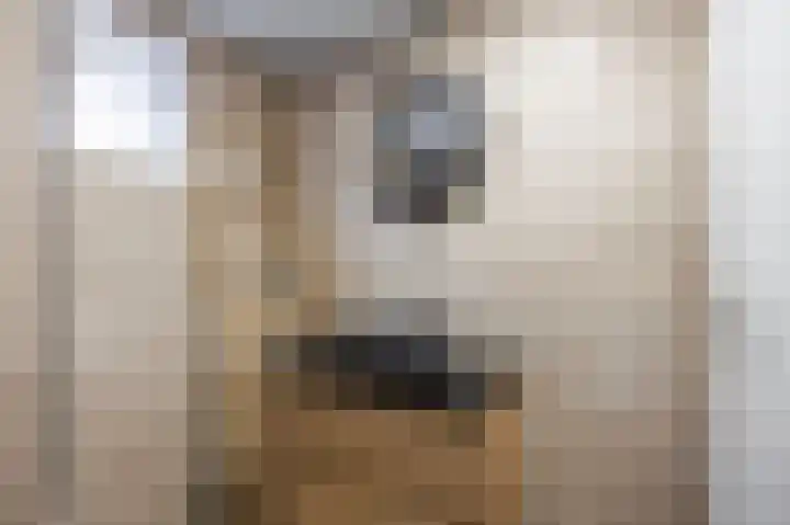 Nieuwstraat 4 Loppersum thumbnail 45