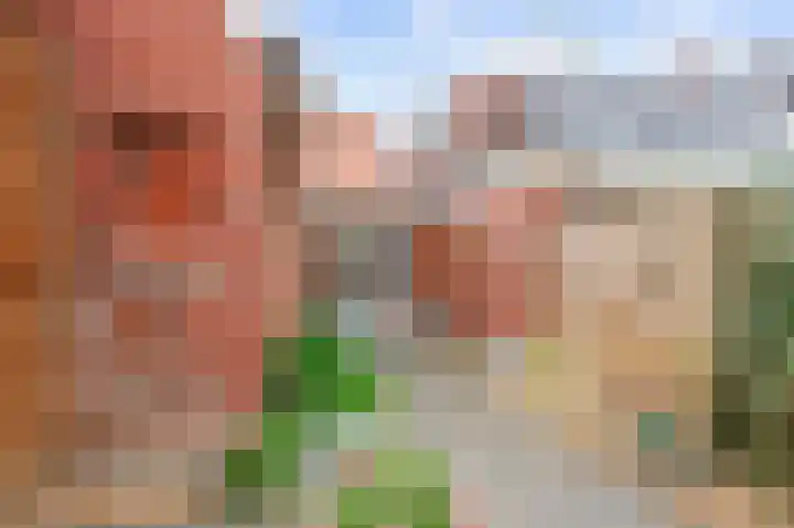 Nieuwstraat 4 Loppersum thumbnail 65