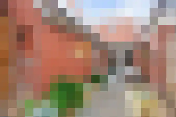 Nieuwstraat 4 Loppersum thumbnail 66