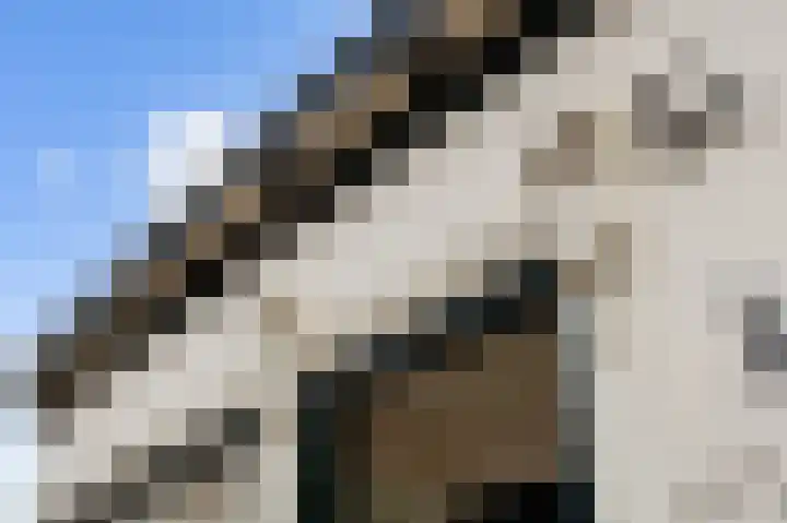 Nieuwstraat 4 Loppersum thumbnail 8