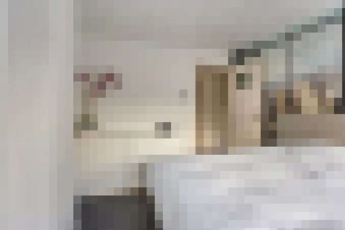 Nieuwstraat 4 Rosmalen thumbnail 13