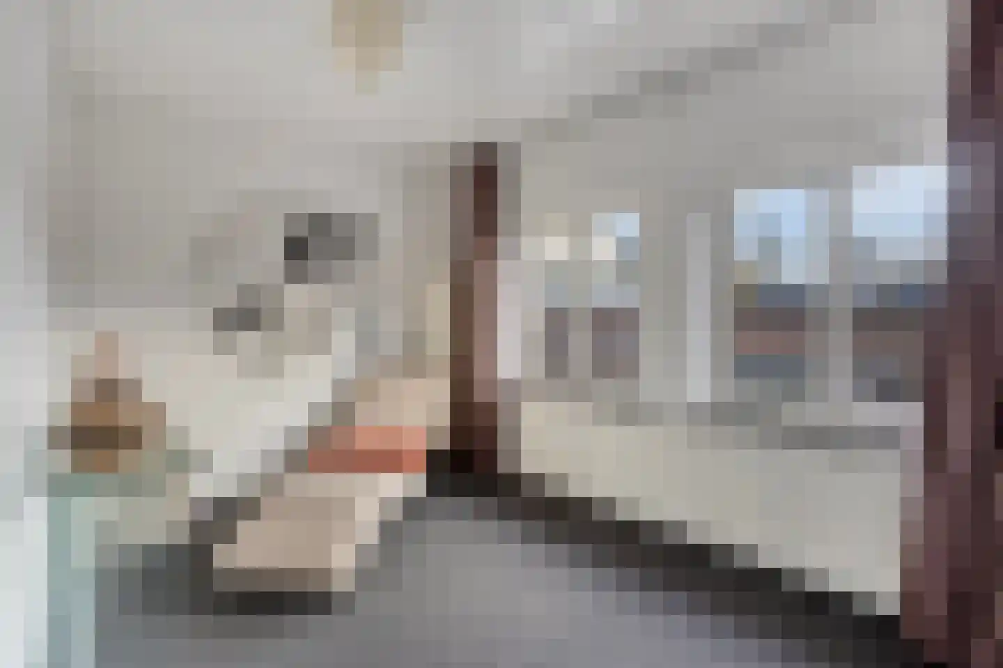 Nieuwstraat 4 Rosmalen thumbnail 16