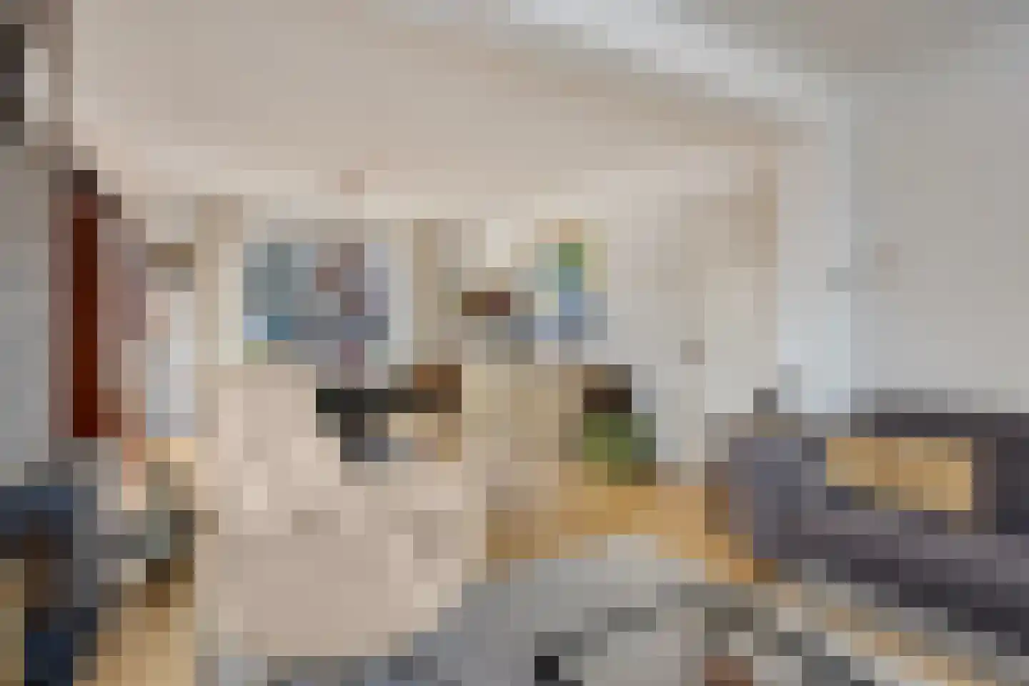 Nieuwstraat 4 Rosmalen thumbnail 4