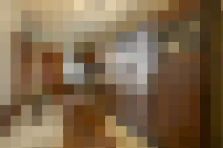 Nieuwstraat 4 Wessem thumbnail 12