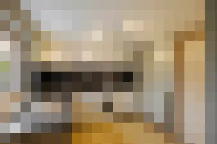 Nieuwstraat 4 Wessem thumbnail 16
