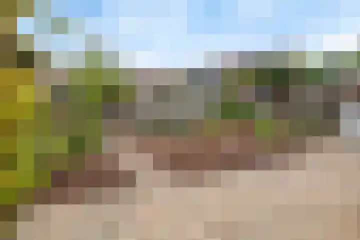 Nieuwstraat 4 Wessem thumbnail 31