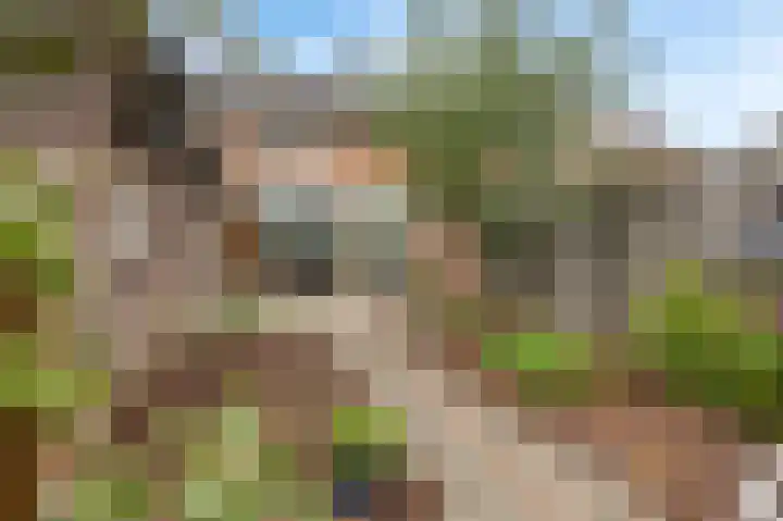 Nieuwstraat 4 Wessem thumbnail 33