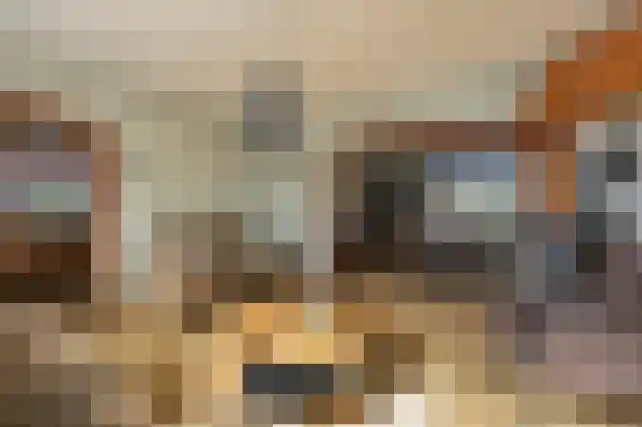 Nieuwstraat 4 Wessem thumbnail 5