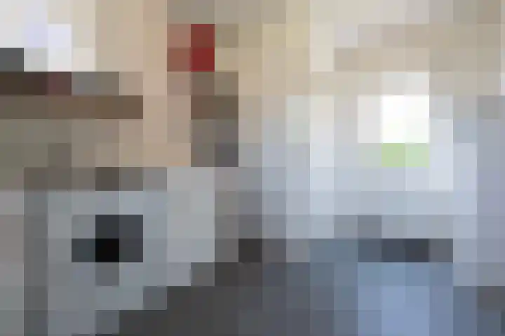 Nieuwstraat 4 Zegge thumbnail 20