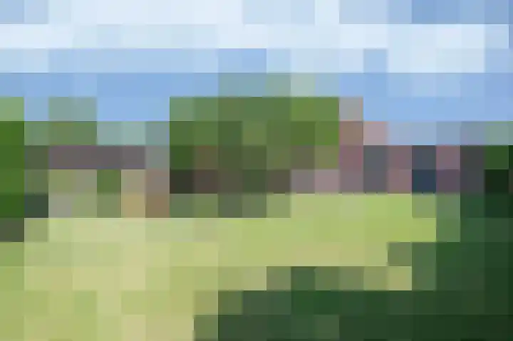 Nieuwstraat 4 Zegge thumbnail 23