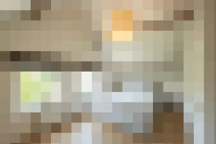 Nieuwstraat 4 Zegge thumbnail 30