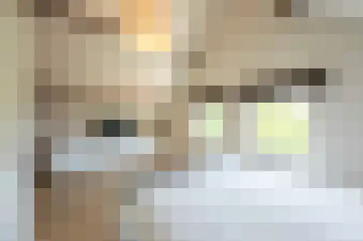 Nieuwstraat 4 Zegge thumbnail 31