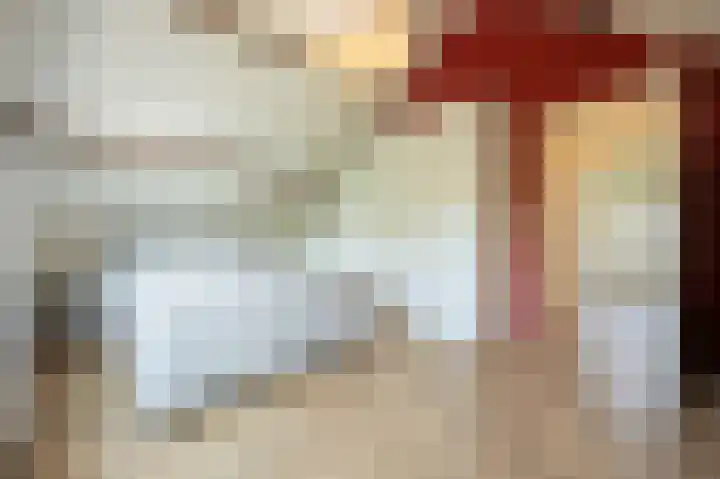 Nieuwstraat 4 Zegge thumbnail 32