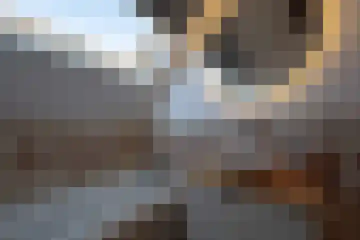 Nieuwstraat 4 Zegge thumbnail 34