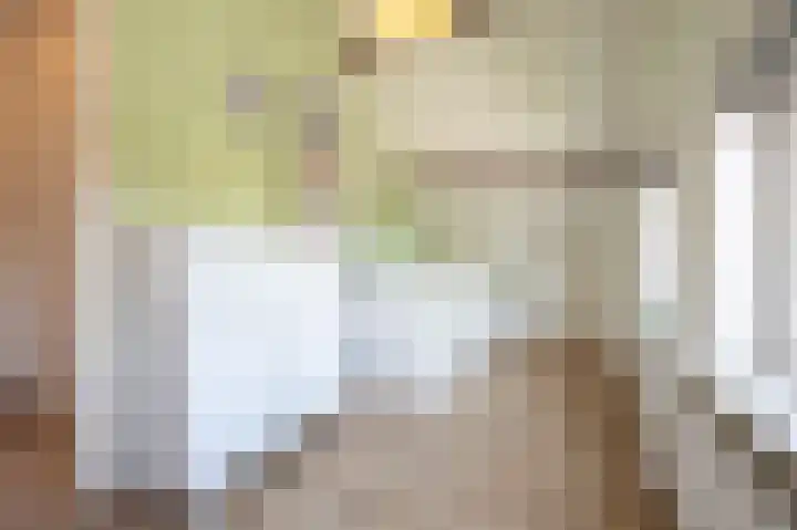 Nieuwstraat 4 Zegge thumbnail 37