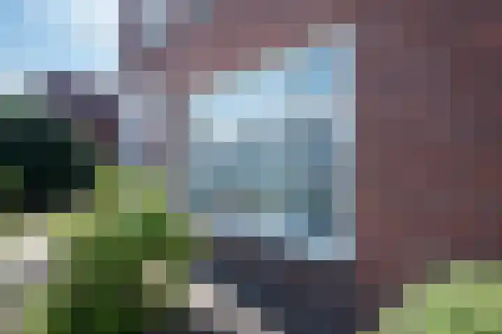 Nieuwstraat 4 Zegge thumbnail 5