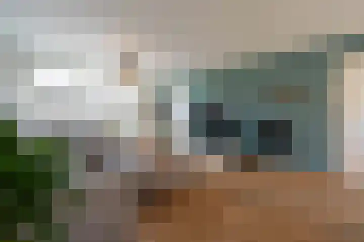 Nieuwstraat 4 Zegge thumbnail 9