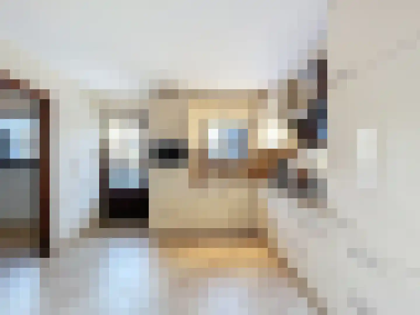 Nieuwstraat 40 Sluis thumbnail 13