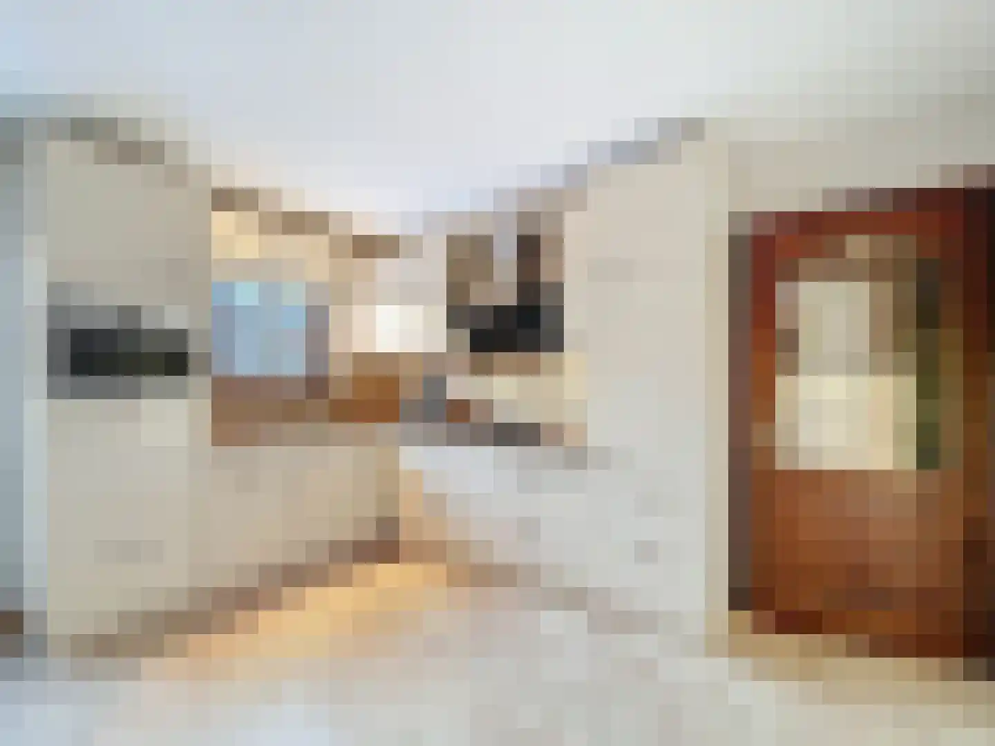 Nieuwstraat 40 Sluis thumbnail 14