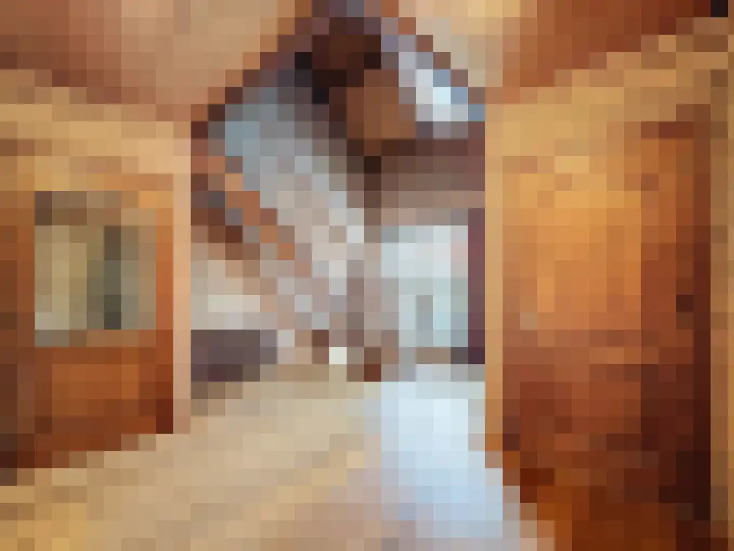 Nieuwstraat 40 Sluis thumbnail 20