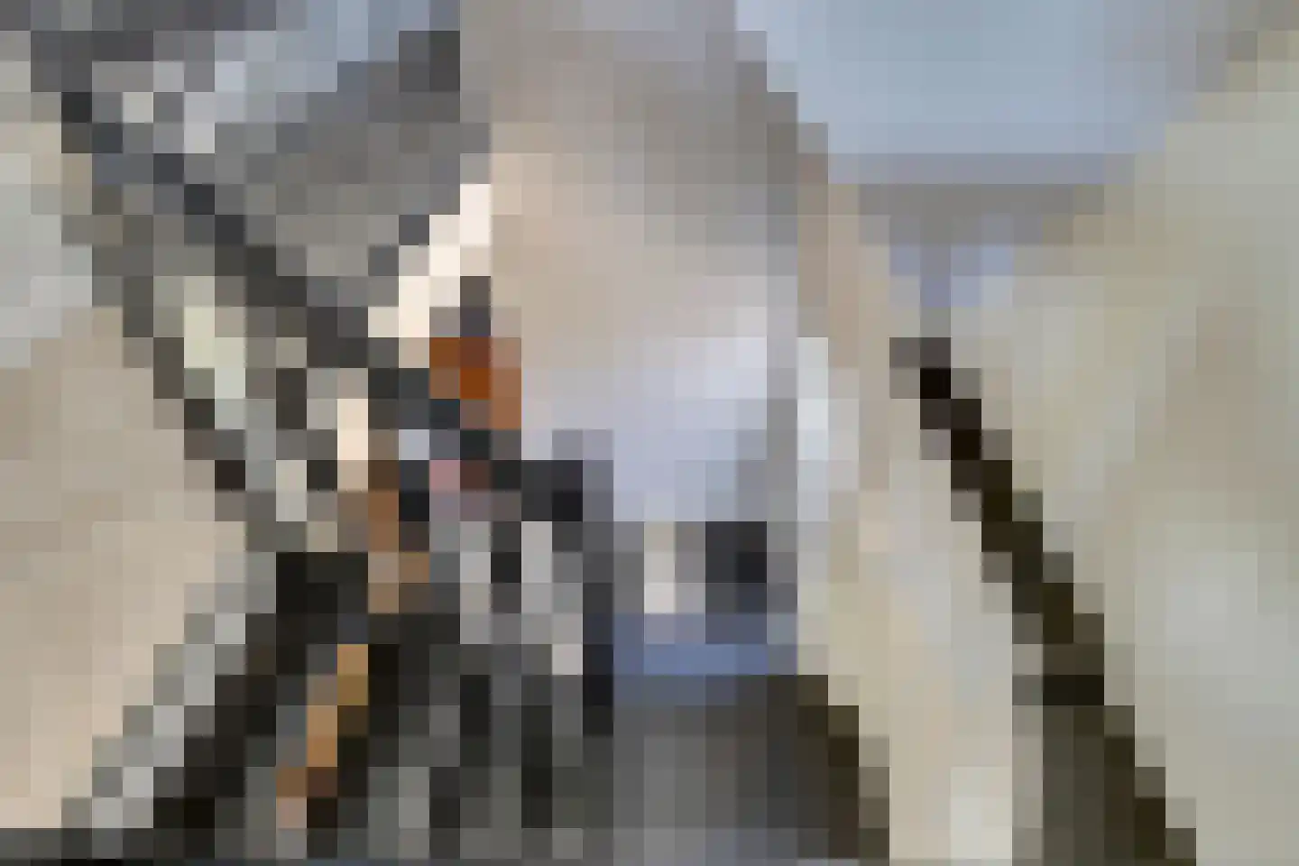 Nieuwstraat 40 Wervershoof thumbnail 21