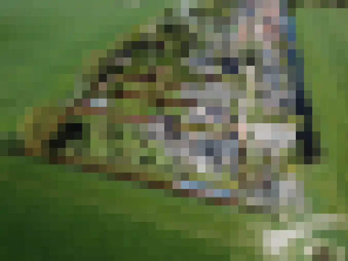 Nieuwstraat 40 Wervershoof thumbnail 4