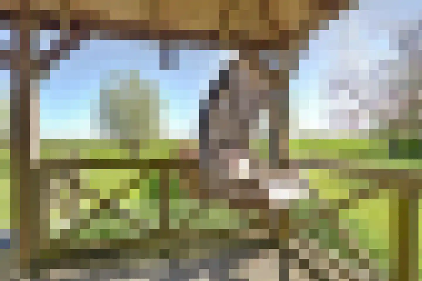 Nieuwstraat 40 Wervershoof thumbnail 40