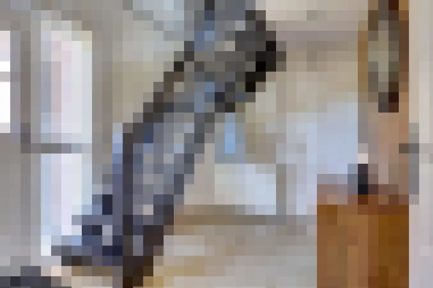 Nieuwstraat 40 Wervershoof thumbnail 5