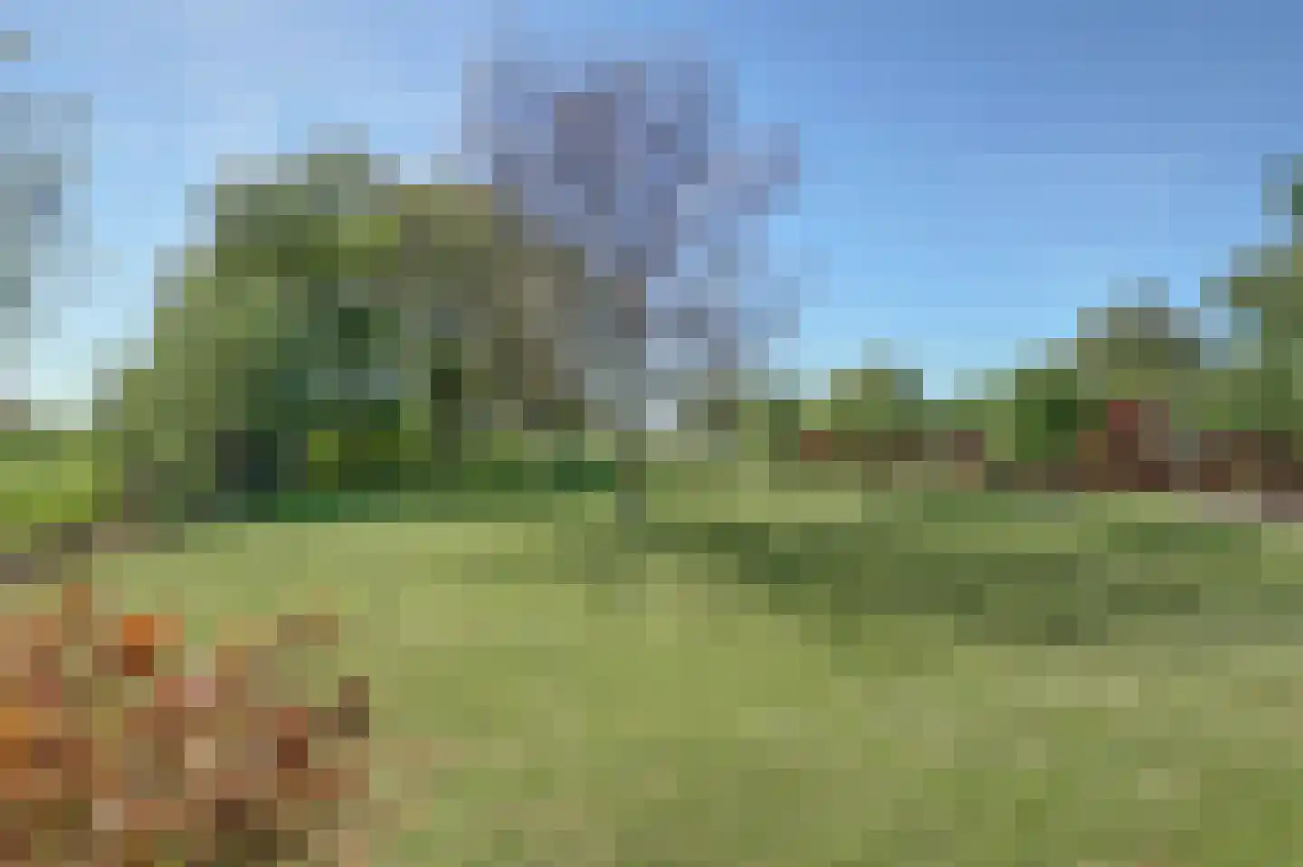 Nieuwstraat 40 Wervershoof thumbnail 53