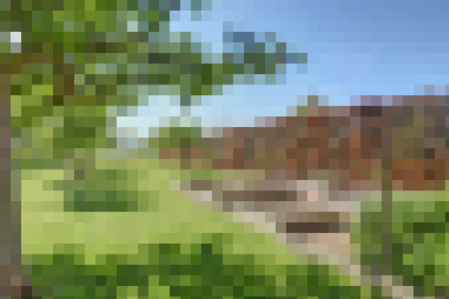 Nieuwstraat 40 Wervershoof thumbnail 57