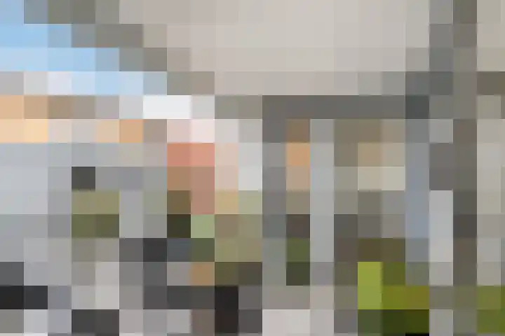 Nieuwstraat 400 Spijkenisse thumbnail 13