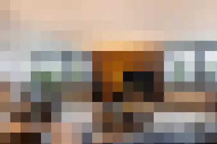 Nieuwstraat 400 Spijkenisse thumbnail 4