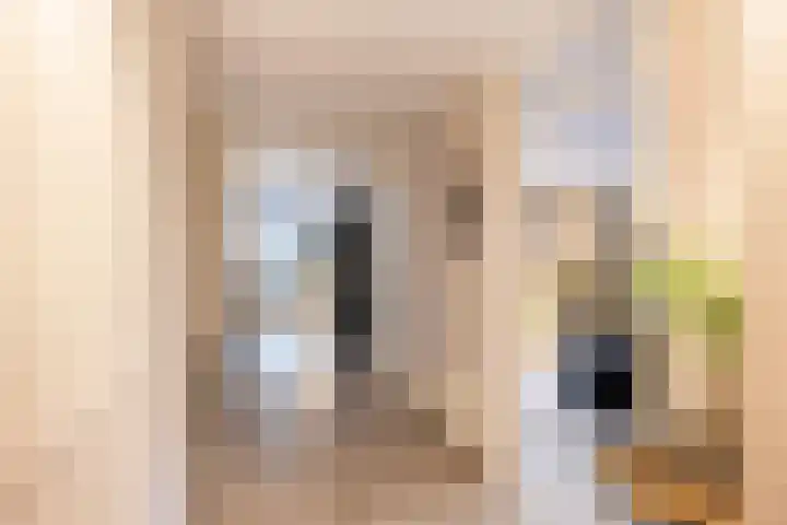 Nieuwstraat 402 Spijkenisse thumbnail 24