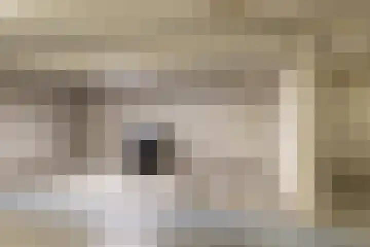 Nieuwstraat 402 Spijkenisse thumbnail 29