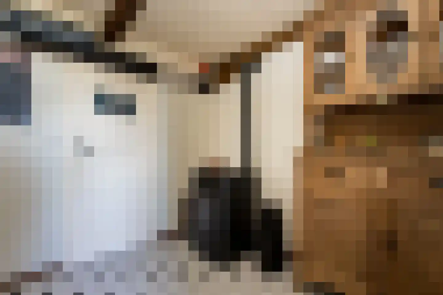 Nieuwstraat 41 Gameren thumbnail 10