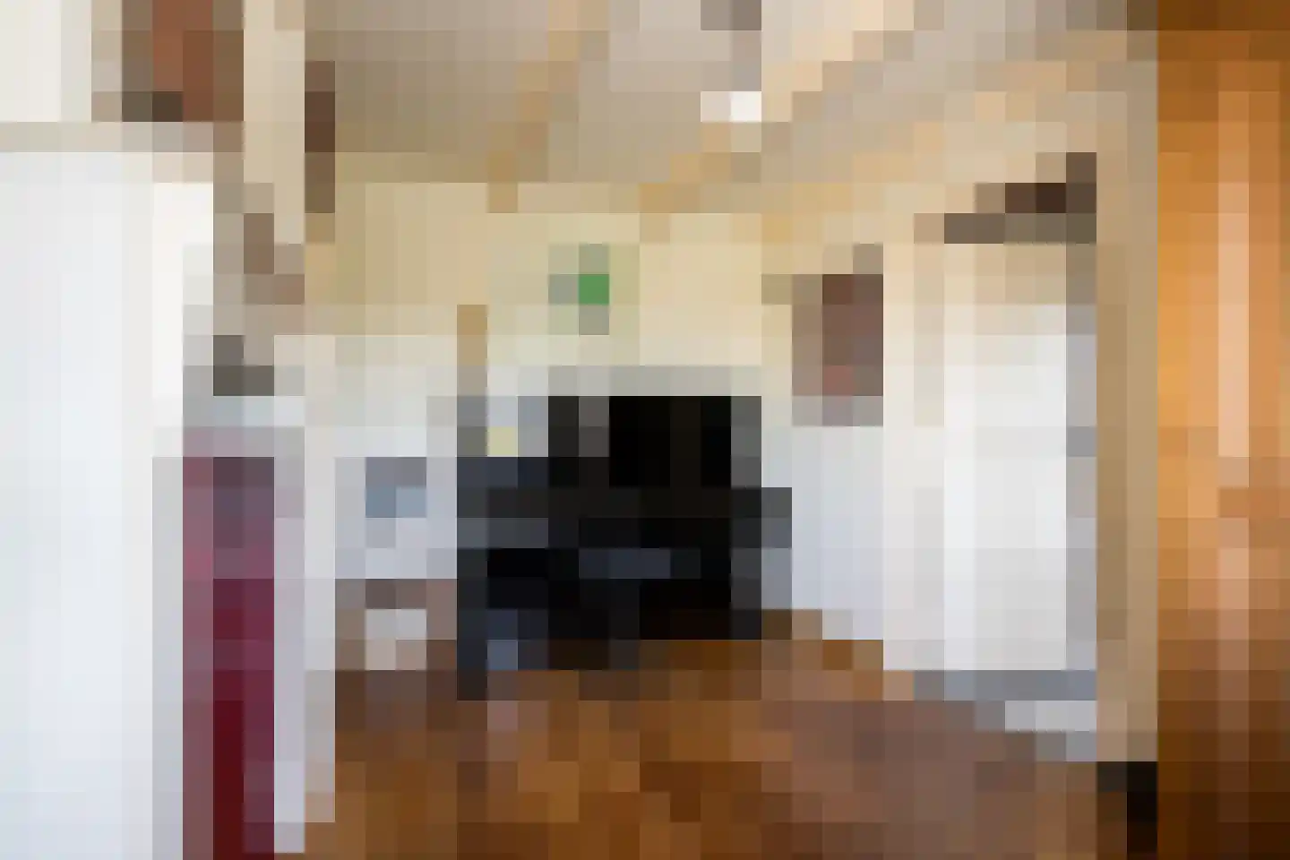 Nieuwstraat 41 Gameren thumbnail 15