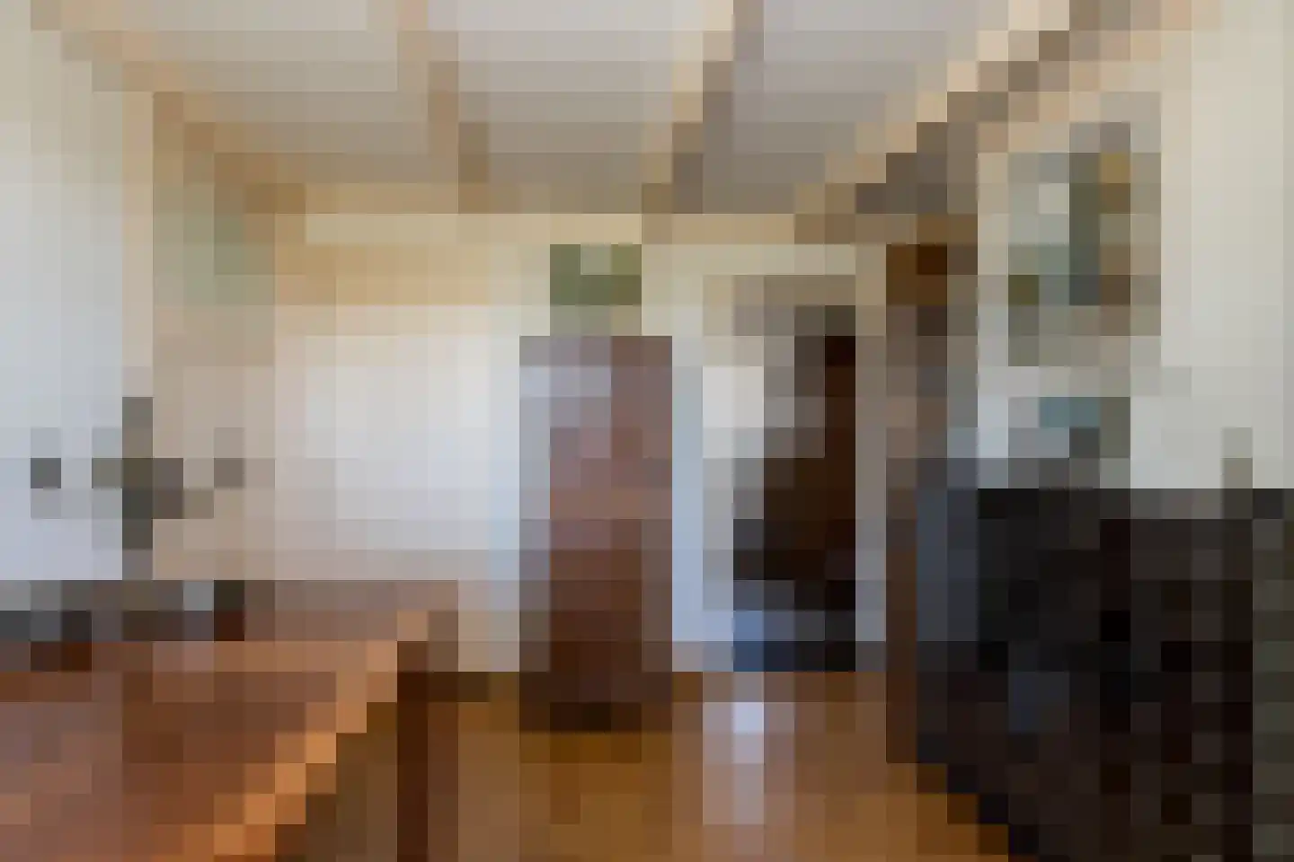 Nieuwstraat 41 Gameren thumbnail 18