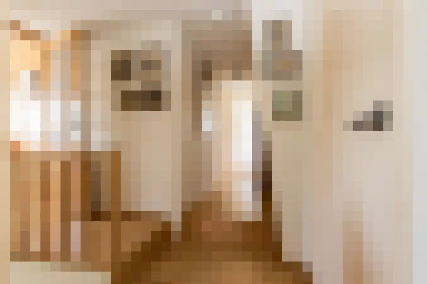 Nieuwstraat 41 Gameren thumbnail 34